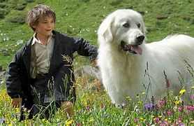 苹果版灵犬暗灵狮子狗阵容