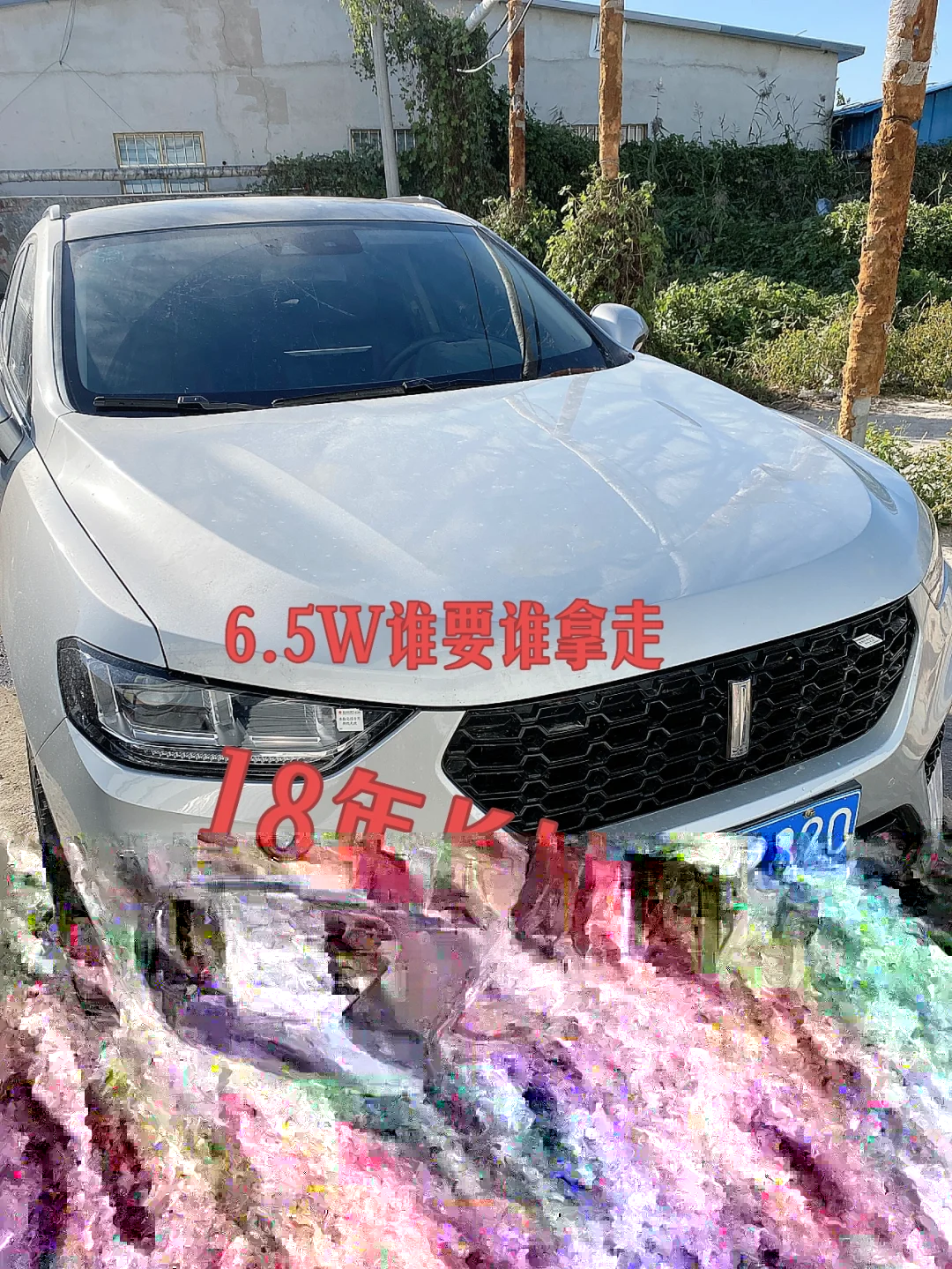 派派6.5.000苹果版派派65014旧版本安卓版-第2张图片-太平洋在线下载